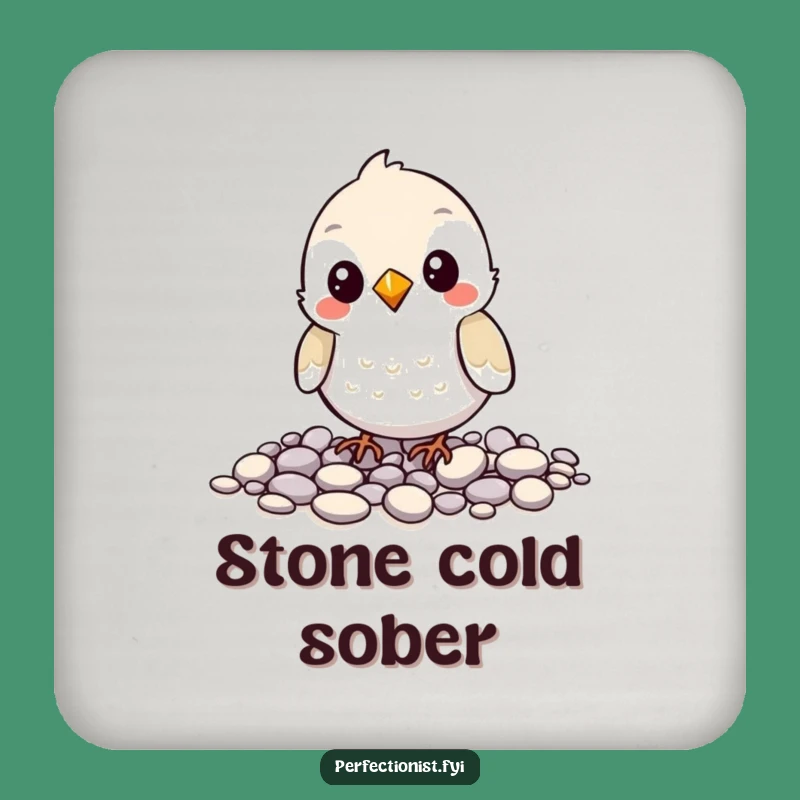 Funny Bird Pebble Coaster - Protect Furniture with Humor